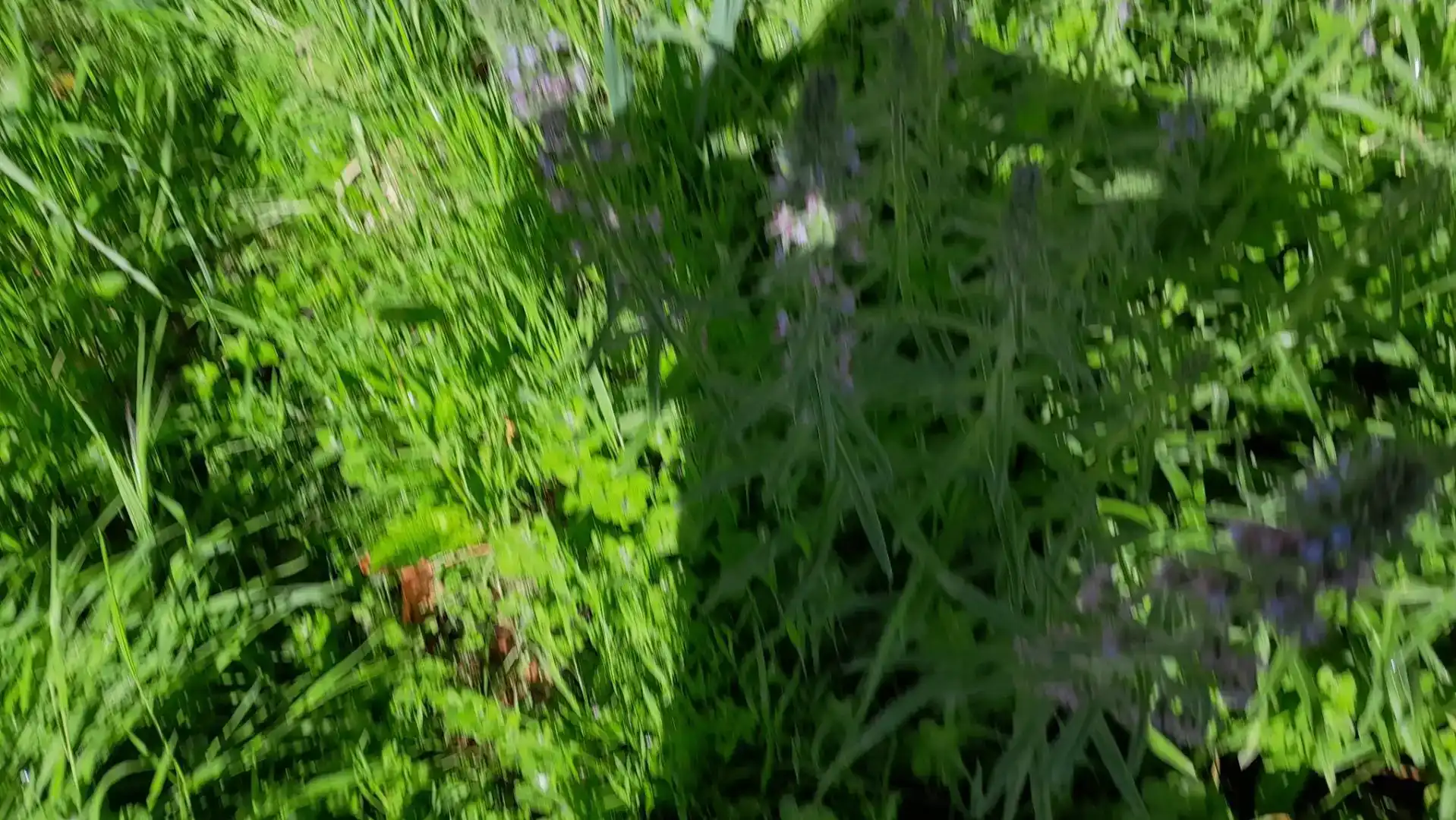 Jardí de Finca rústica en venda en Melón