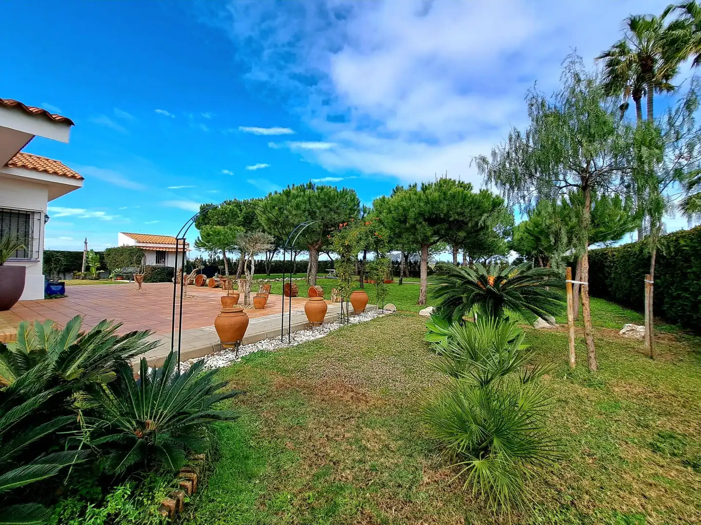 Casa o xalet en venda a Calle Calle de las Zancudas, 38, Isla Canela