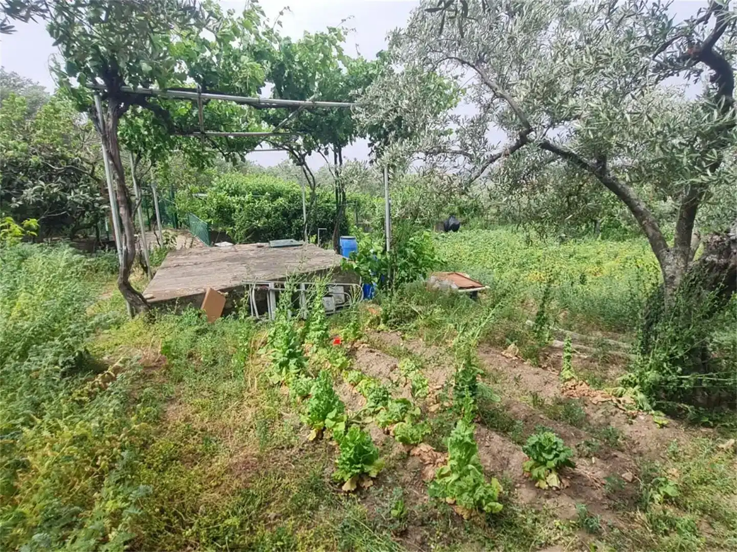 Finca rústica en venda en Plasencia