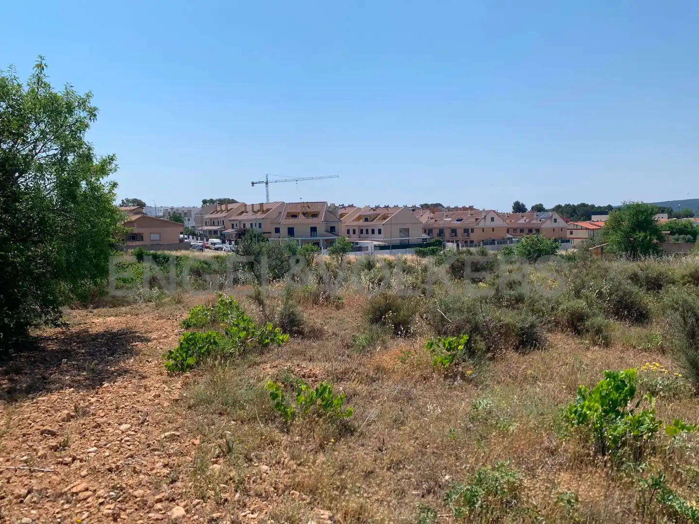 Terreny rústic en venda a Requena, imagen 18