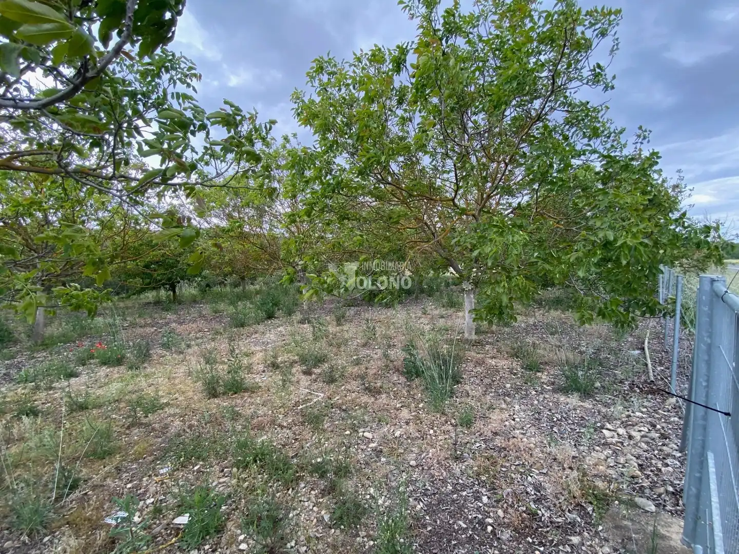 Lands and plots for sale in Calle Río 65, imagen 5