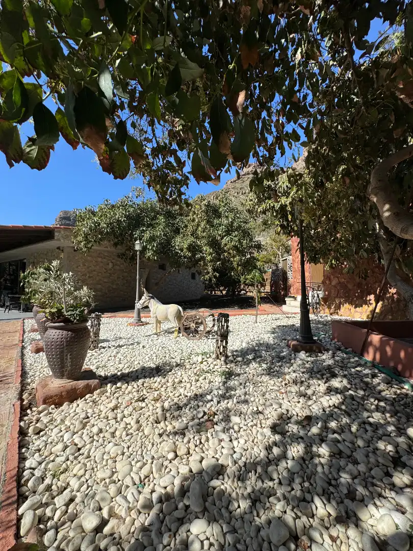 Jardí de Finca rústica en venda en San Bartolomé de Tirajana amb Aire condicionat, Jardí privat i Terrassa