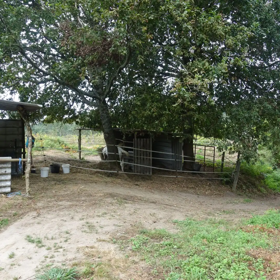 Jardín de Finca rústica en venta en Gondomar