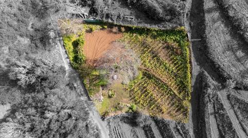 Foto 2 de Finca rústica en venda a Carretera, El Sauzal, Santa Cruz de Tenerife