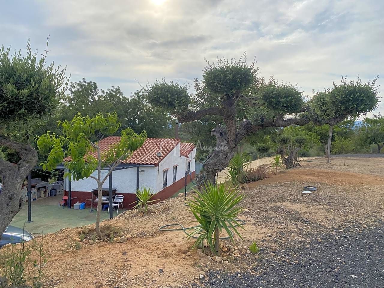 Finca rústica en venda a Cap Roig, L'Ampolla