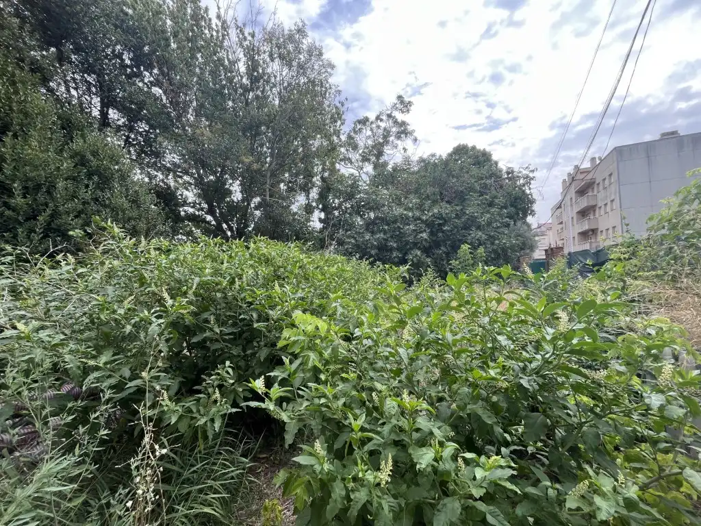 Terreny residencial en venda a Calle Abat Muntadas, imagen 10