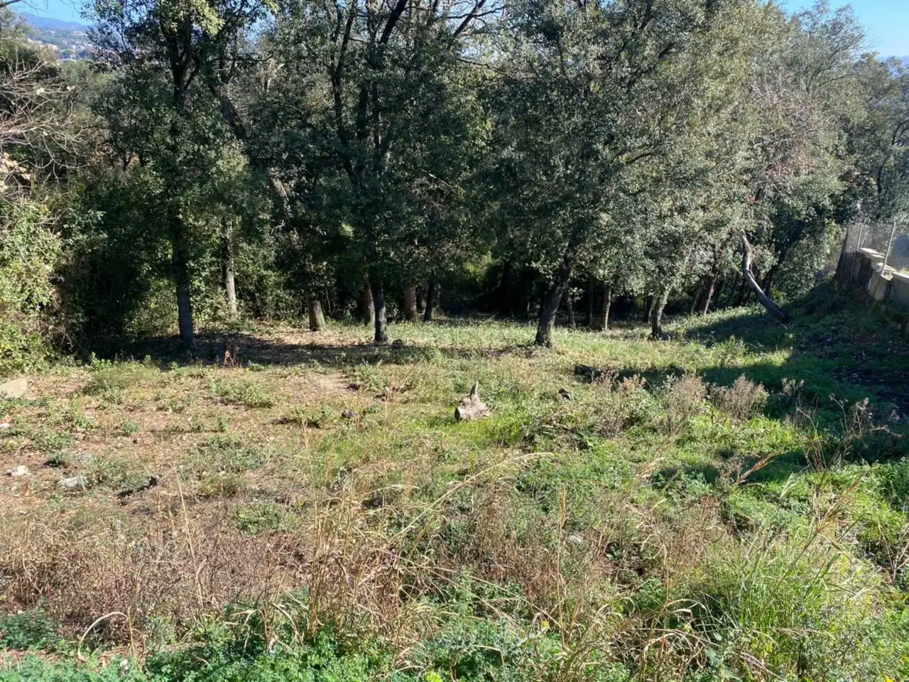 Terreny residencial en venda a Calle Gualba, imagen 2