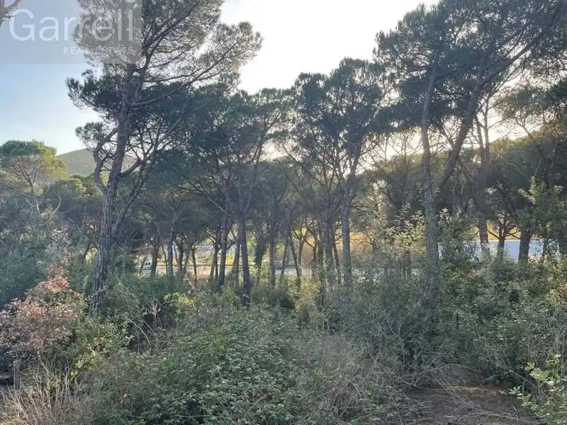 Lands and plots for sale in PL SECTOR INDUSTRIAL C.N. II Polígono  Parcela  AMPLIACIO SECTOR 
JUNTO A CARRETERA N.  PALAFOLLS [BARCELONA], imagen 16