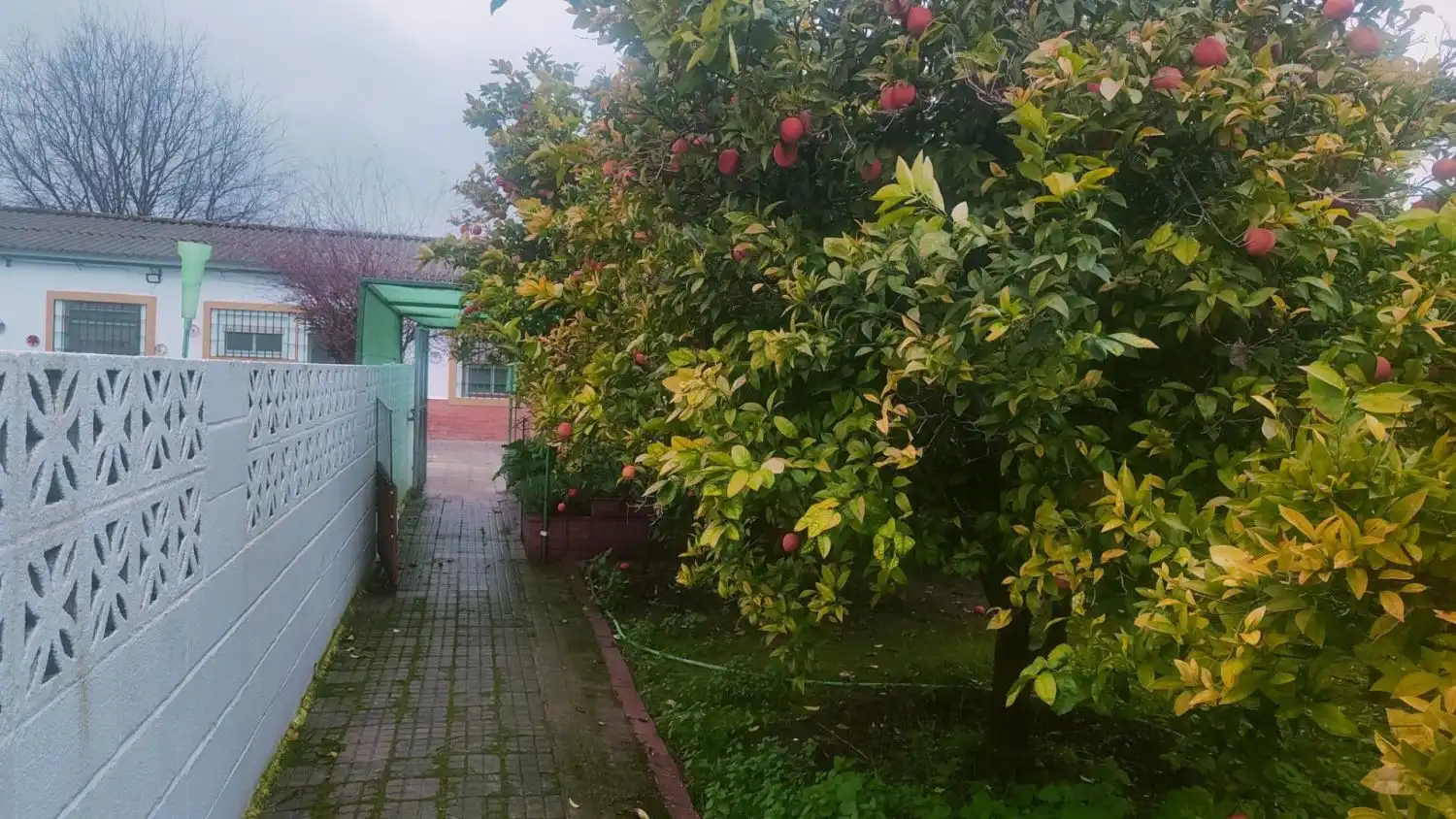 Garden of Houses for sale in Córdoba  with Air Conditioner