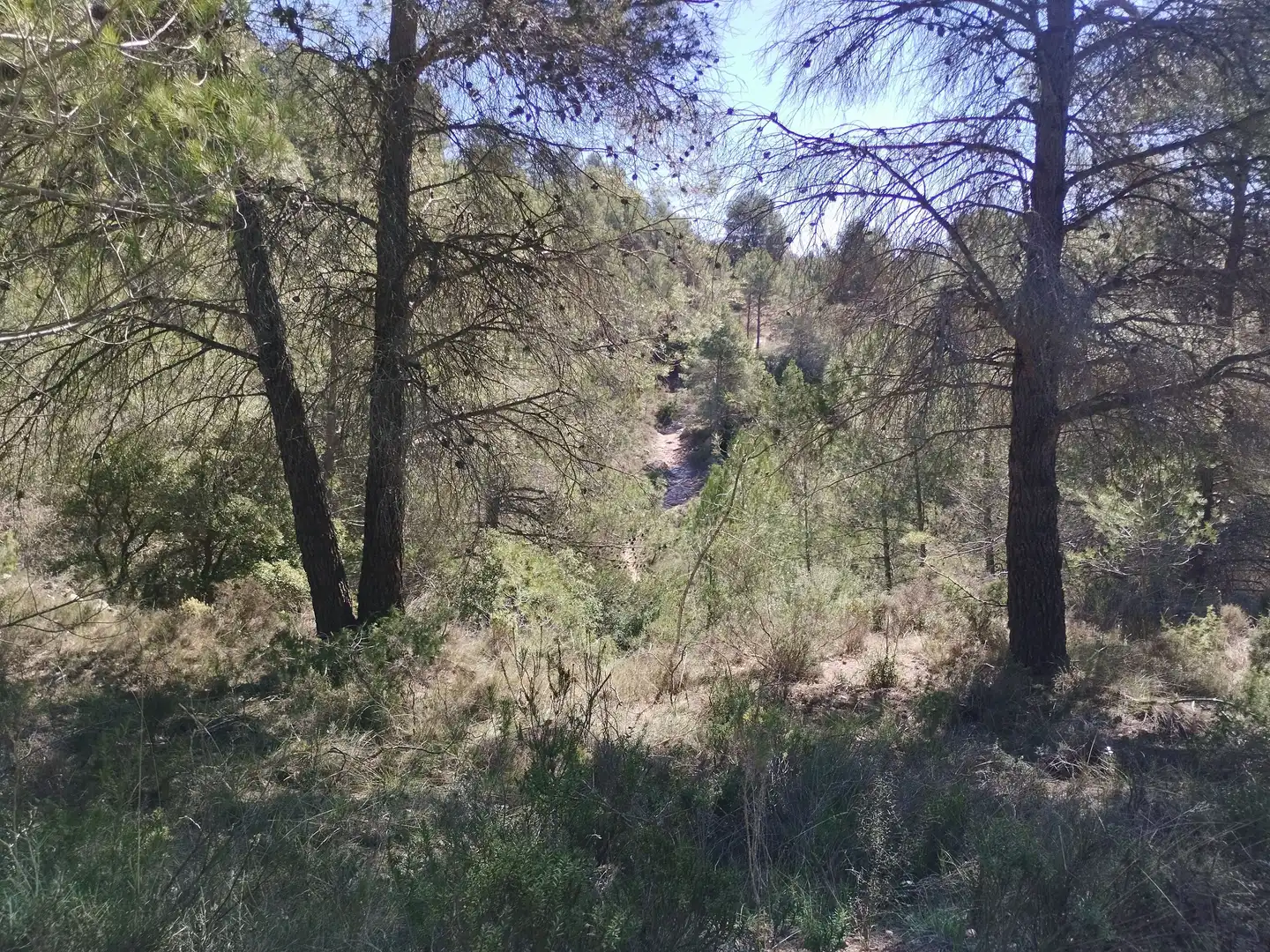 Terreno en venta en La Morera de Montsant
