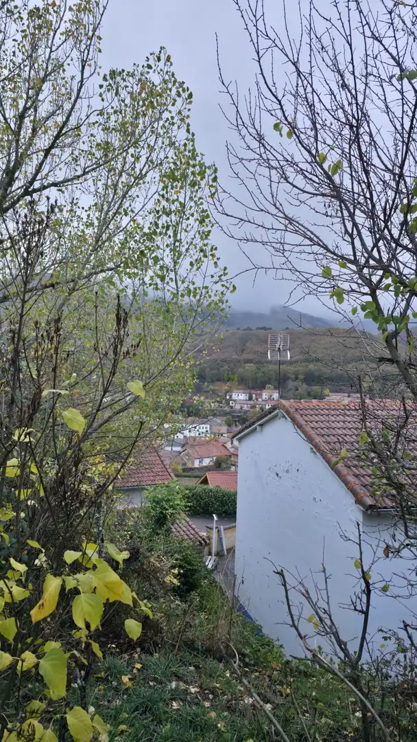 Vista exterior de Casa o chalet en venta en Barruelo de Santullán