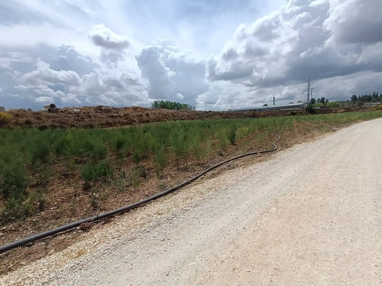Rural land for sale in Moraleda de Zafayona, imagen 10