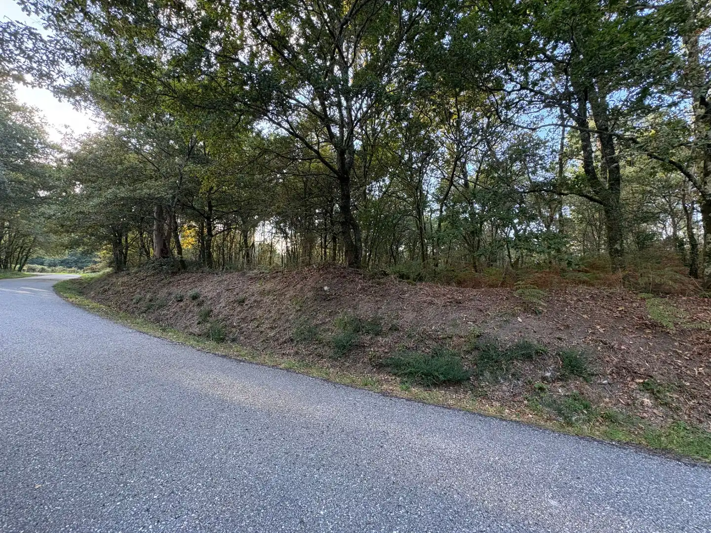 Lands and plots for sale in Mondariz, imagen 4