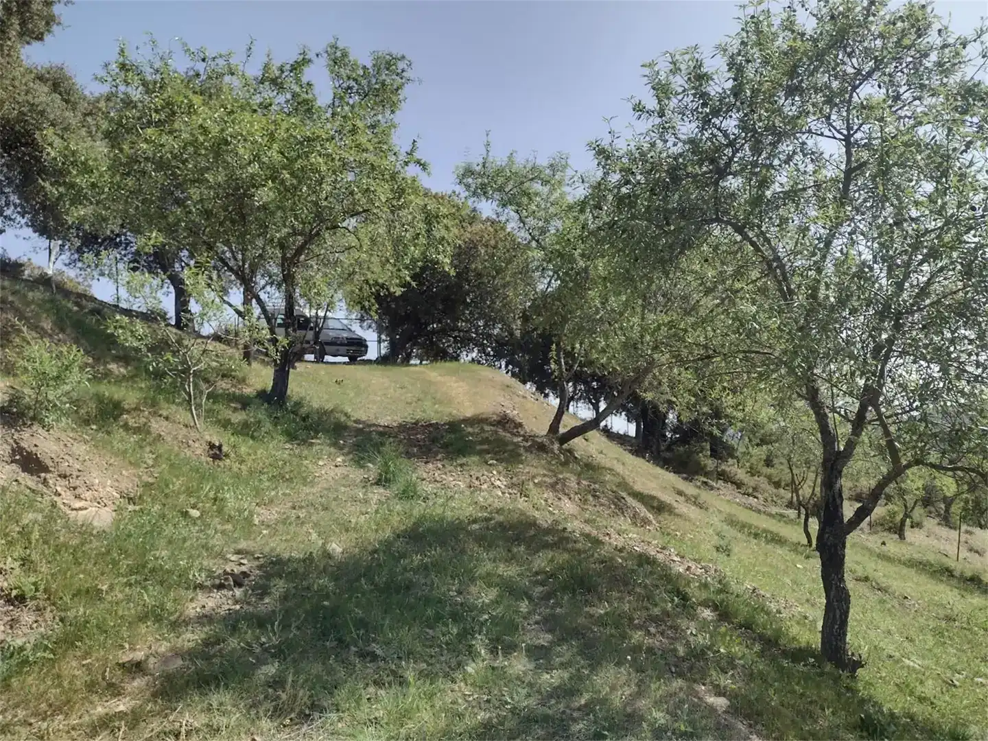 Land for sale in Benadalid
