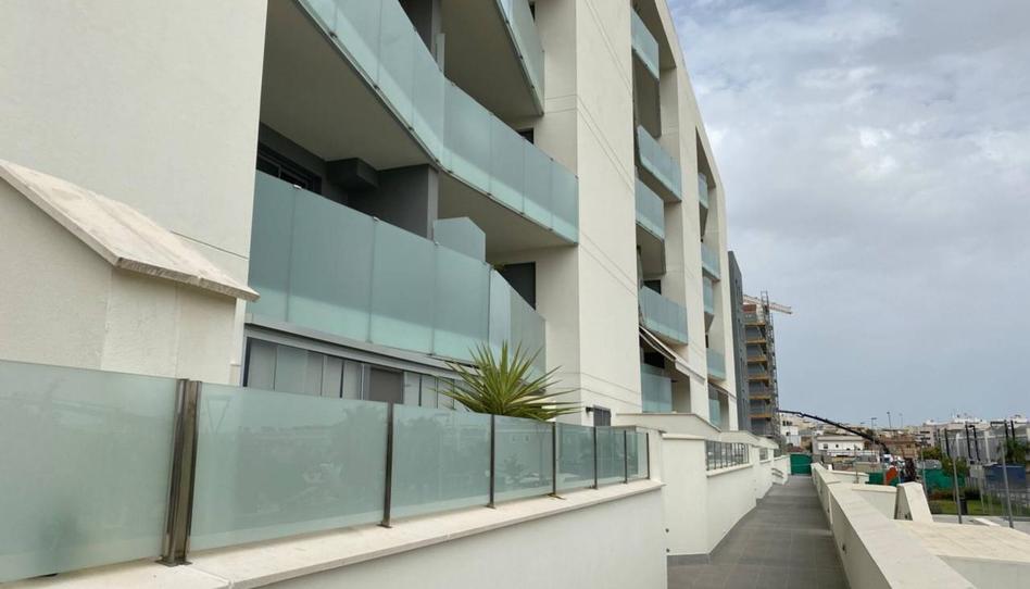 Photo 1 of Flat to rent in José Manuel Caballero Bonald, 1, Caballero Bonald - San José Obrero - Guadalcacín, Cádiz