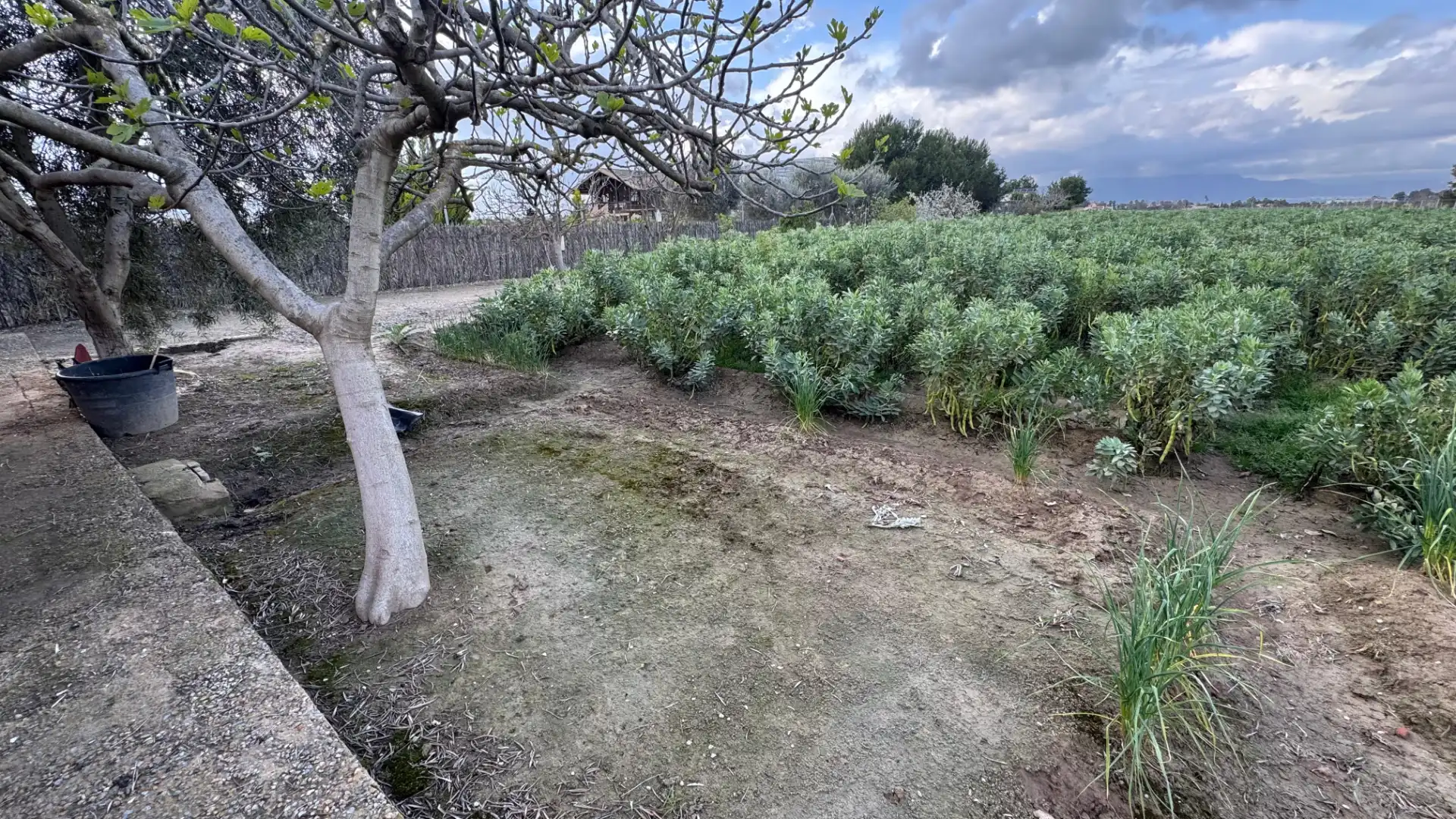 Casa o chalet en venta en Dolores con Aire acondicionado, Jardín privado y Amueblado