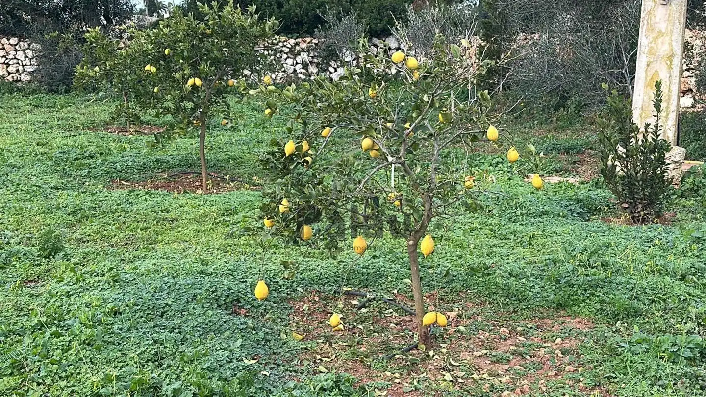 Garden of Residential for sale in Ciutadella de Menorca