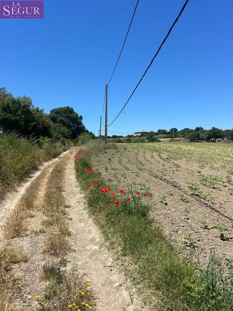 Terreni e lotti in vendita a Vejer, imagen 2