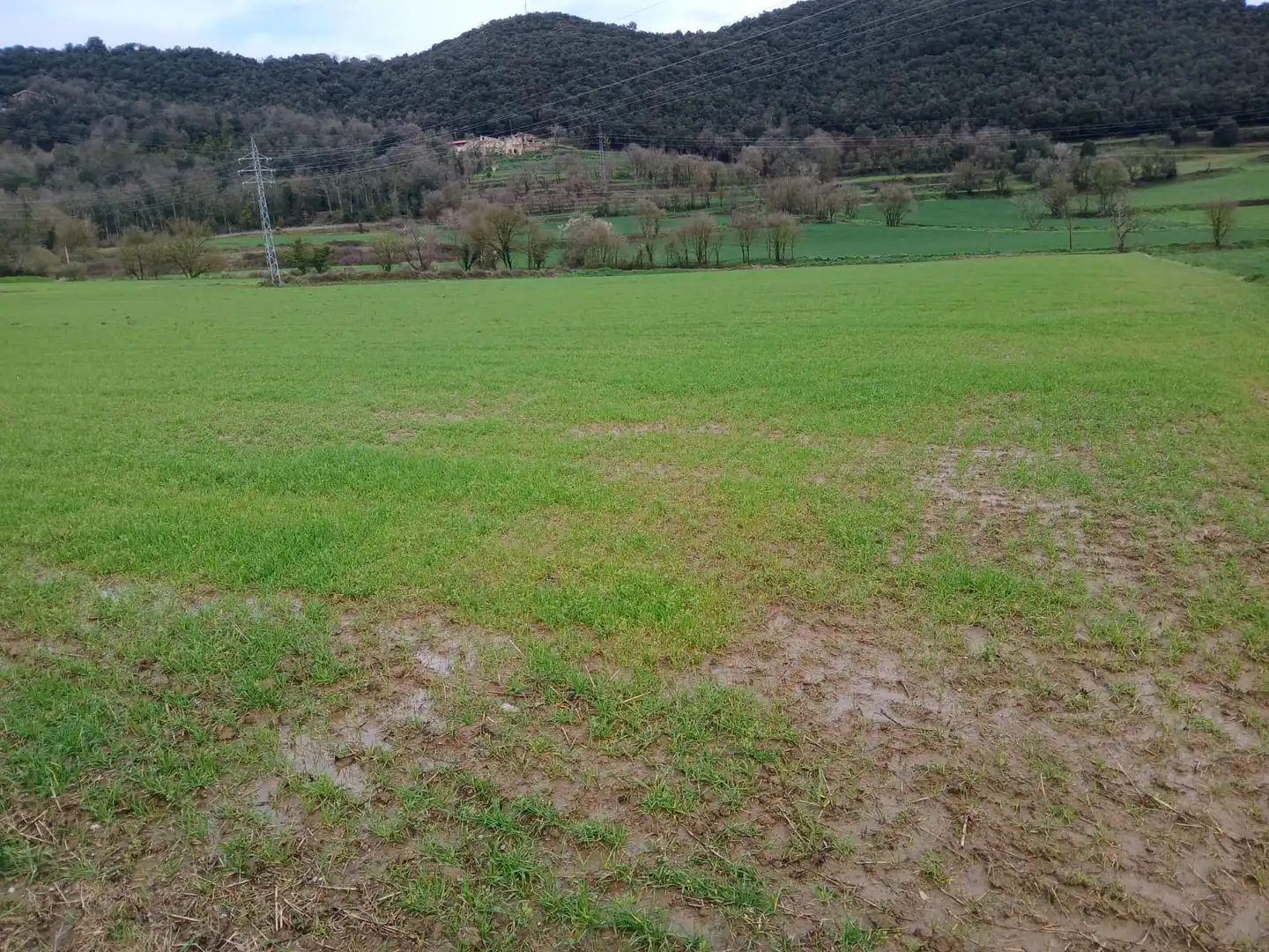 Terreny rústic en venda a Sant Joan Les Fonts, imagen 10