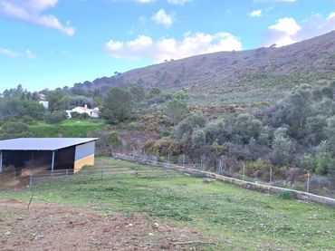 Casa rústica en venta en Campo de Mijas