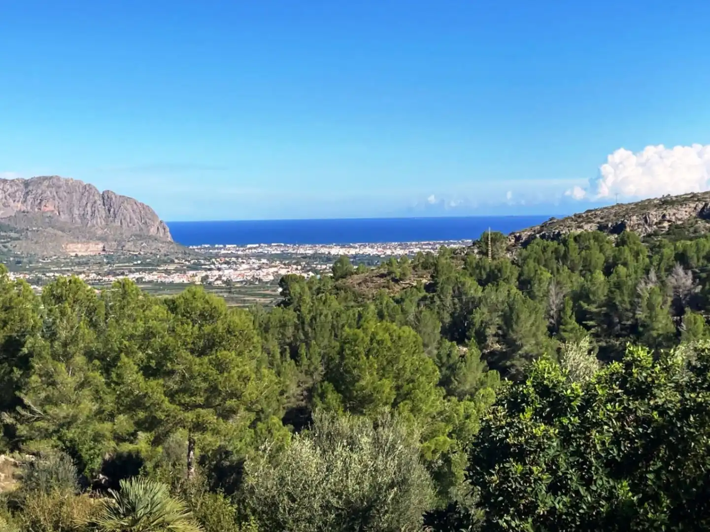 Vista exterior de Casa o xalet en venda en Benidoleig amb Terrassa, Traster i Piscina