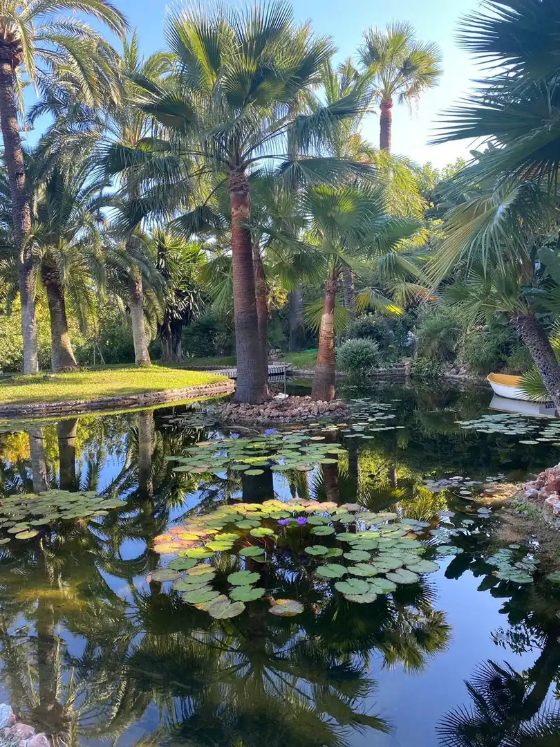House with pool for sale in Milla de Oro, imagen 11