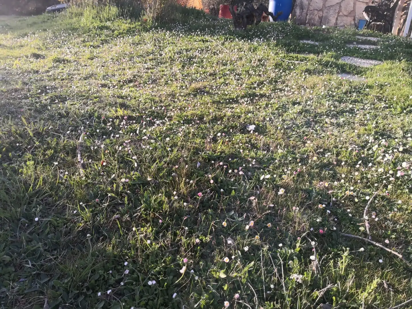 Finca rústica en venda en Modúbar de la Emparedada amb Jardí privat i Terrassa