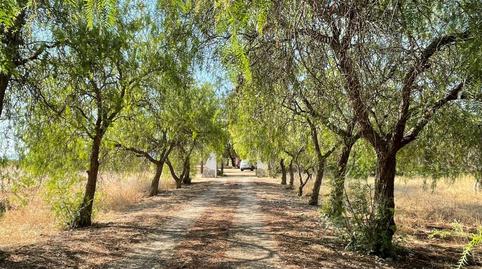 Foto 2 de Finca rústica en venda a Hacienda del Álamo Golf, Murcia