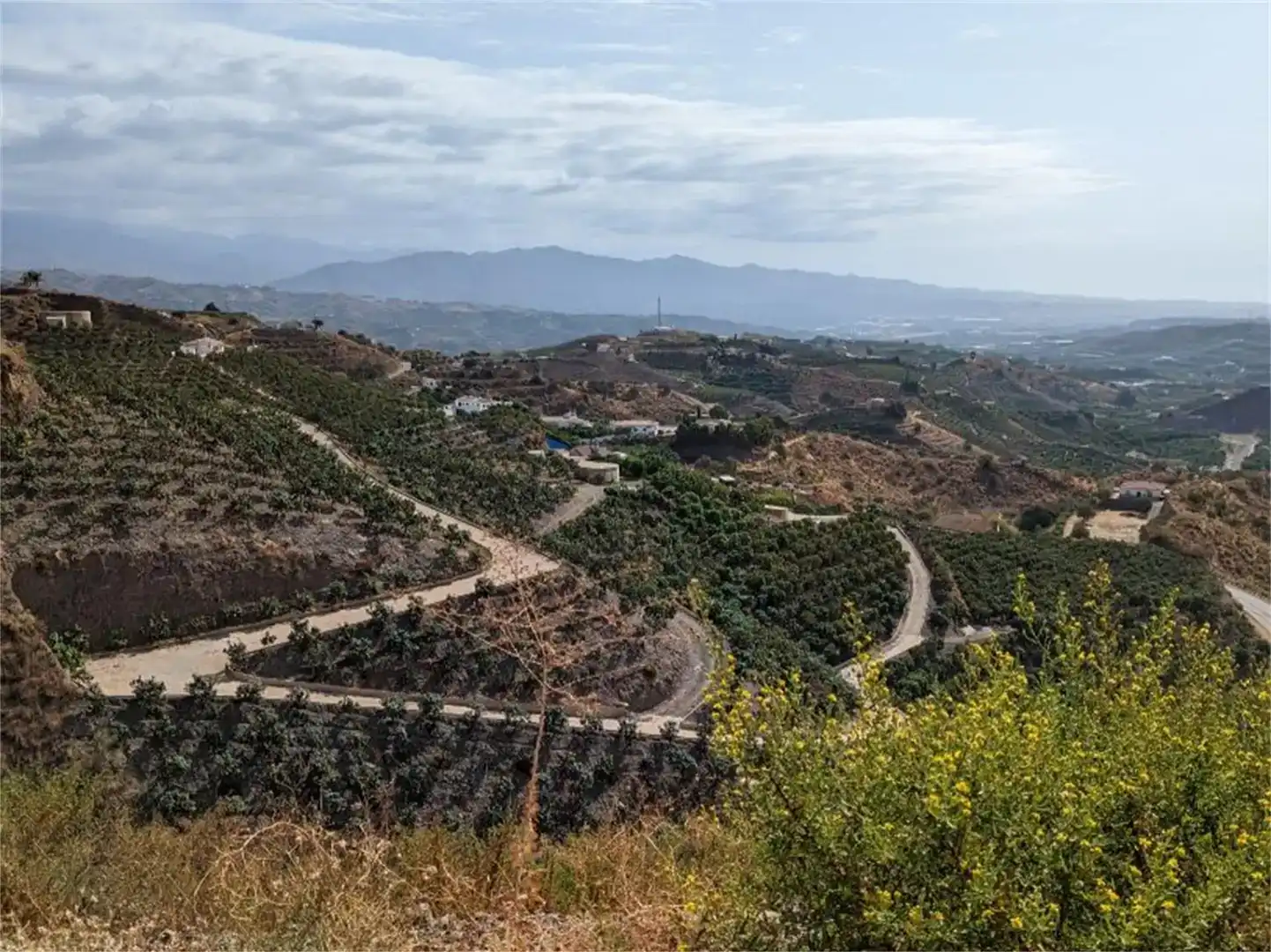 Vista exterior de Finca rústica en venda en Almáchar