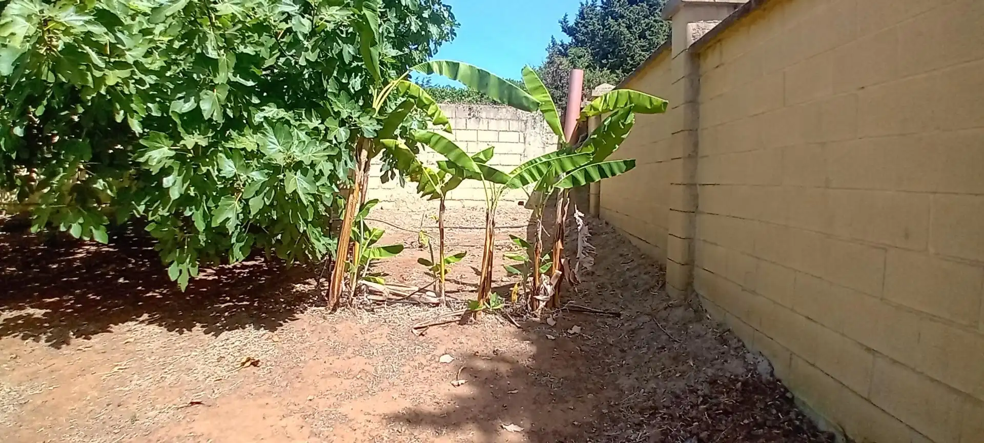Casa o chalet en venta en San Roque Pueblo