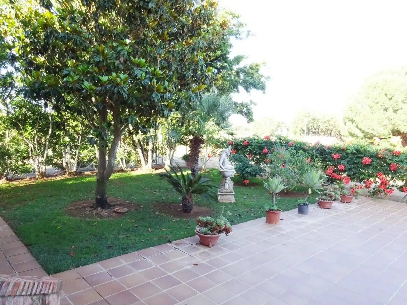 Finca rústica en venda a Mairena del Alcor