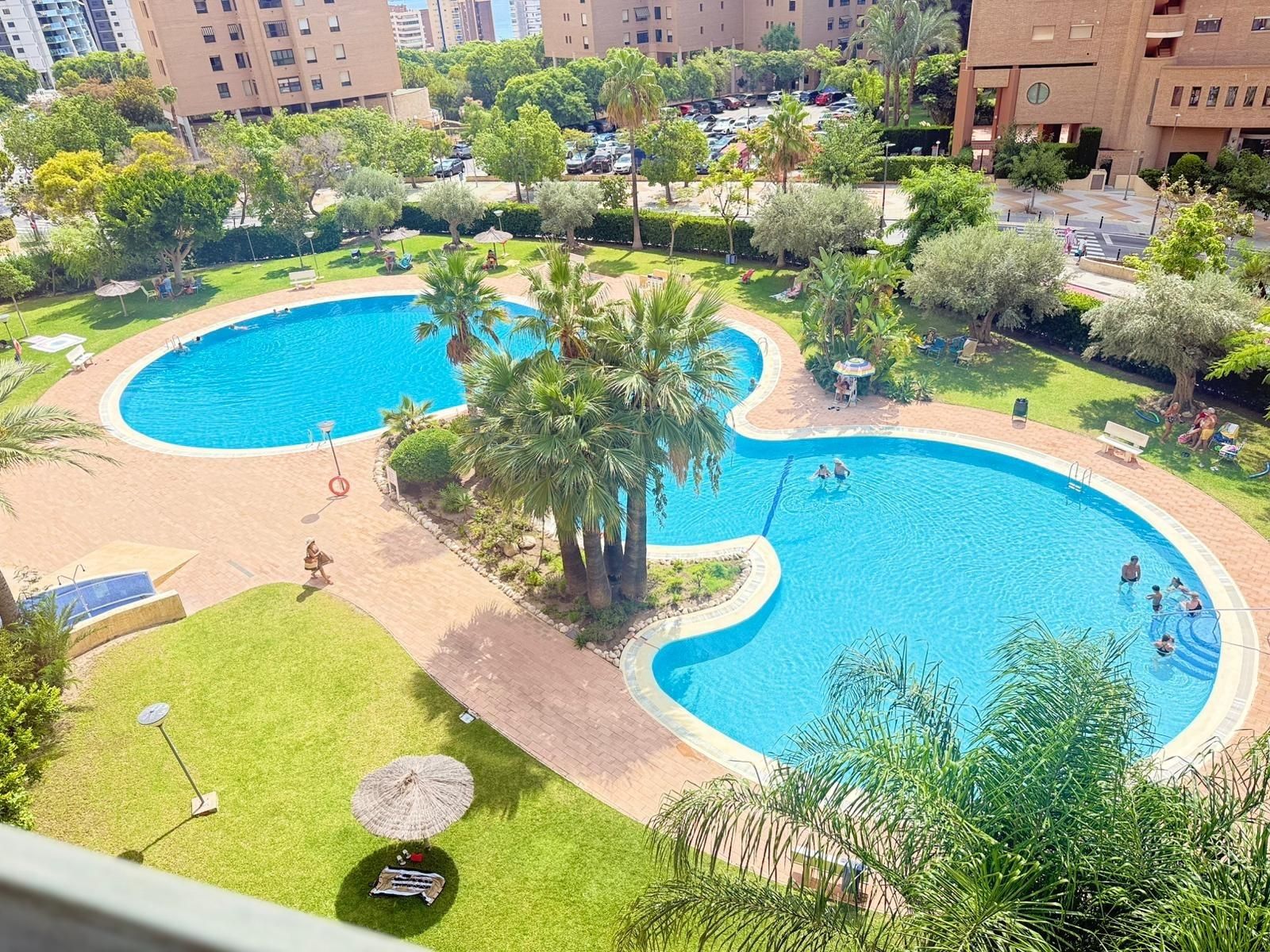 Piscina de Apartament en venda en Benidorm amb Aire condicionat, Jardí privat i Terrassa