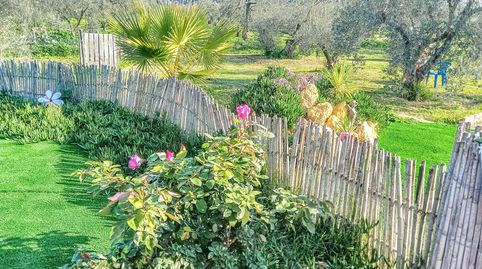 Finca en venta en Almonte, imagen 4