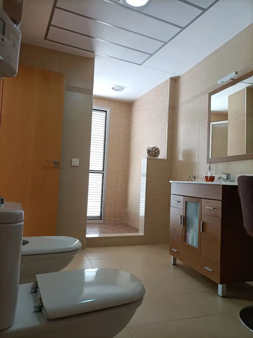 Baño de Ático en venta en Altura con Aire acondicionado, Parquet y Terraza