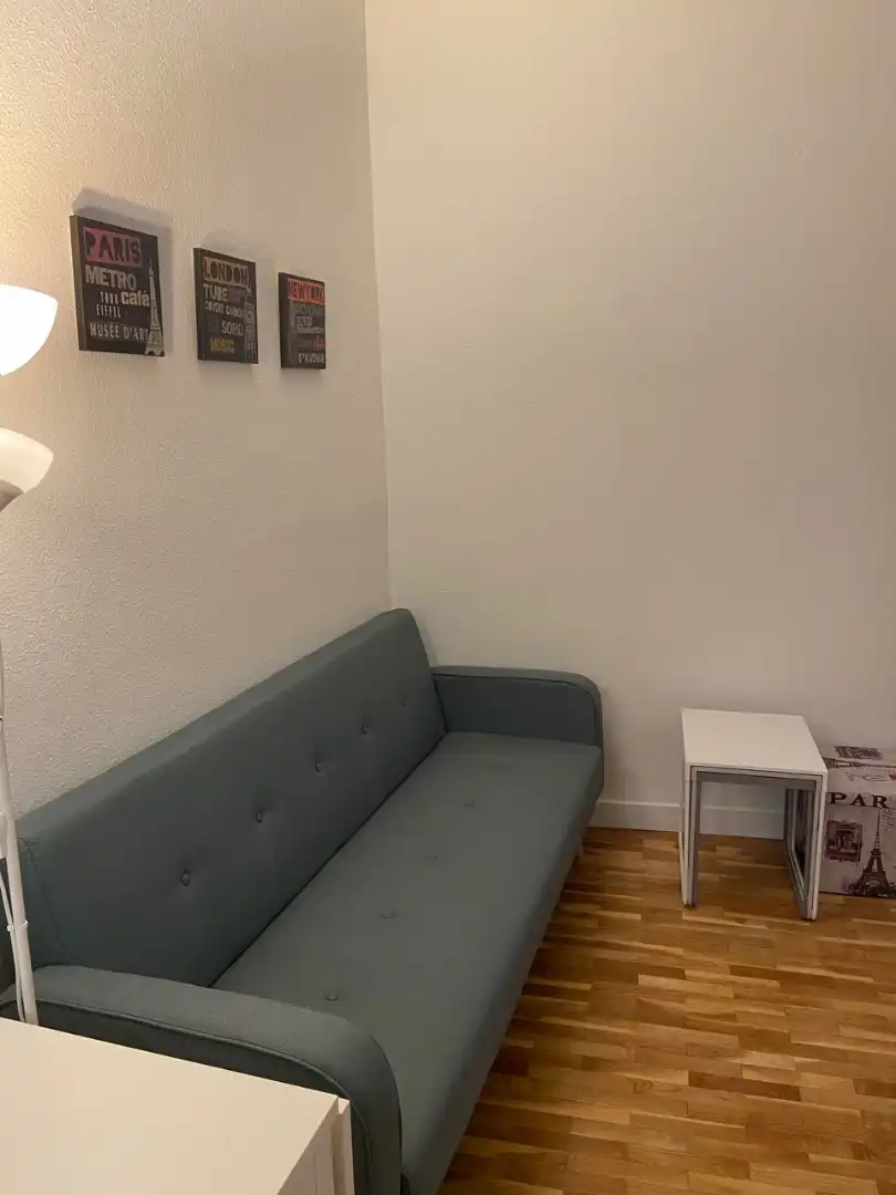 Sala d'estar de Apartament de lloguer en Madrid amb Calefacció, Moblat i Forn