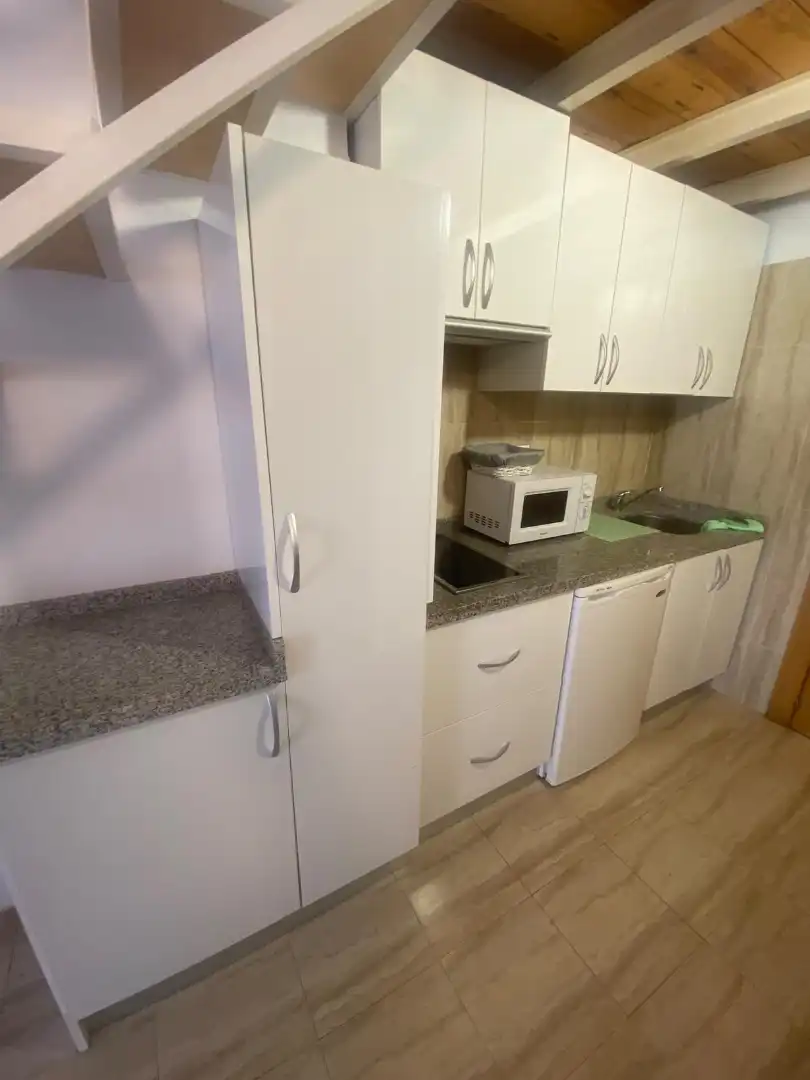Kitchen of Apartments for rent in Centro