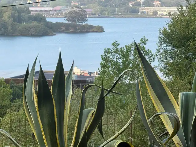 Garten von Haus oder Chalet zum Verkauf in Ferrol mit Abstellraum und Internet
