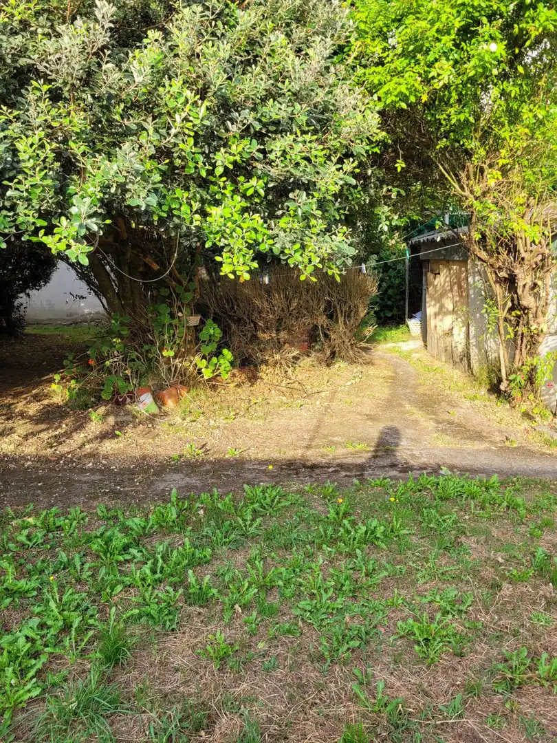Terreni e lotti in vendita a A Gándara, imagen 14