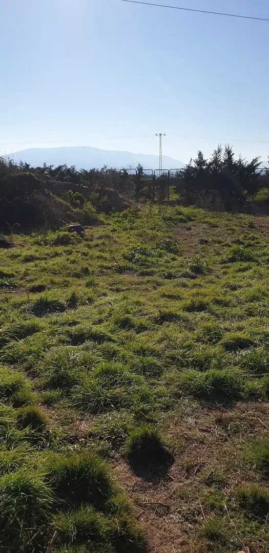 Terreny rústic en venda a Murillo de Río Leza, imagen 10