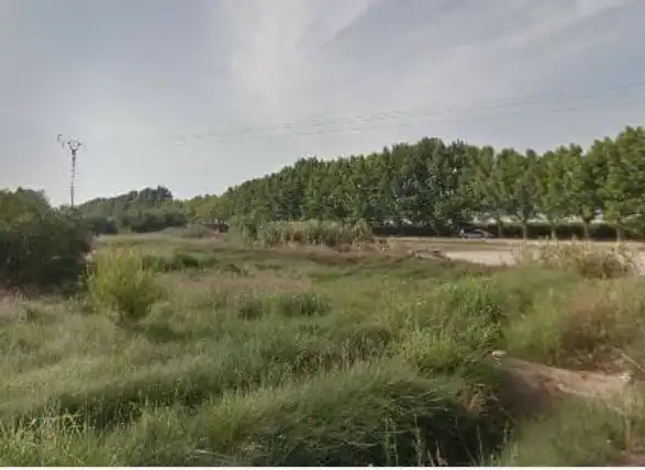 Rural land for sale in Sueca ciudad, imagen 4