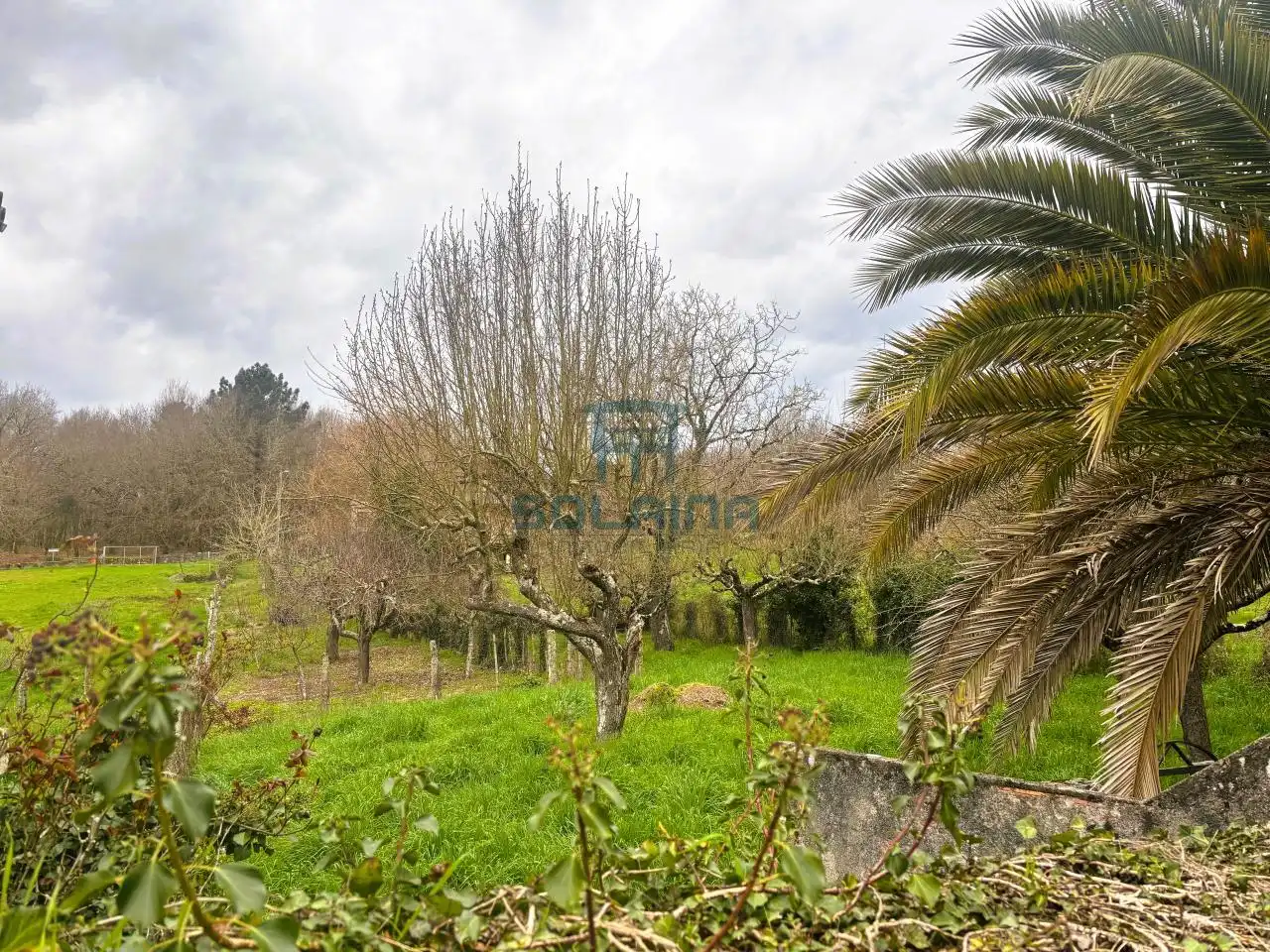 Casa amb jardí en venda a Amoeiro, imagen 10