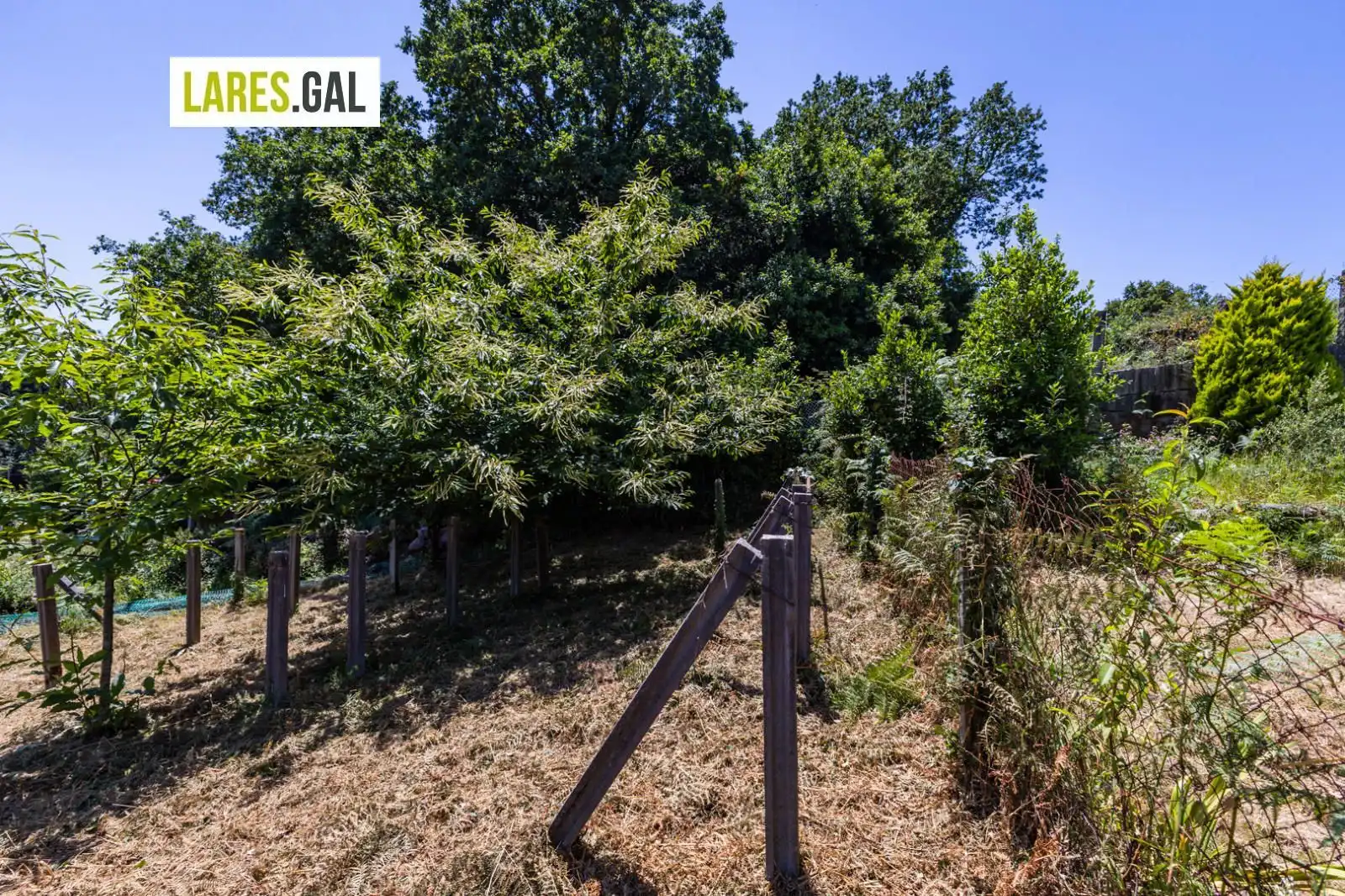 Lands and plots for sale in Ourelo, imagen 16