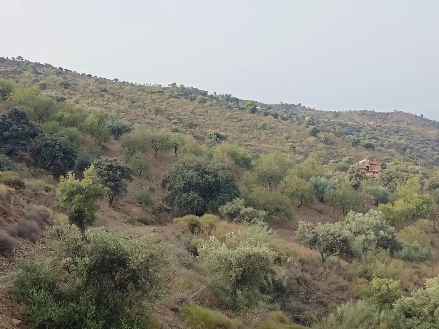 Terreni e lotti in vendita a Centro, imagen 6