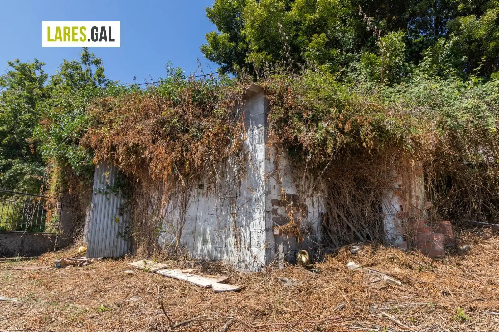 Terrain rustique à vendre à Lugar Iglesario, Tirán, imagen 8