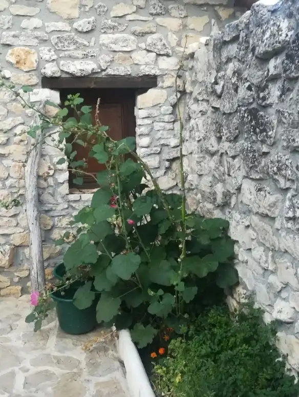Garden of Houses for sale in Valle de Manzanedo  with Private garden