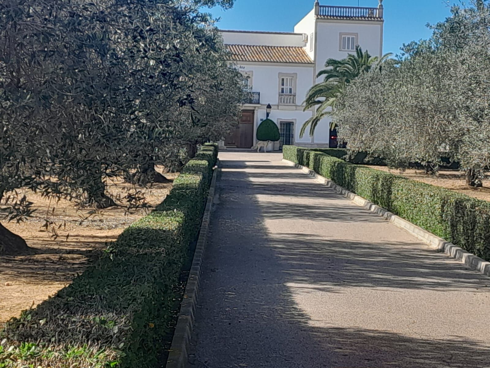 Exterior view of Country house for sale in Chiva  with Air Conditioner, Heating and Private garden