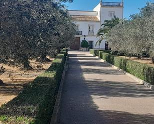 Vista exterior de Finca rústica en venda en Chiva amb Aire condicionat, Terrassa i Piscina