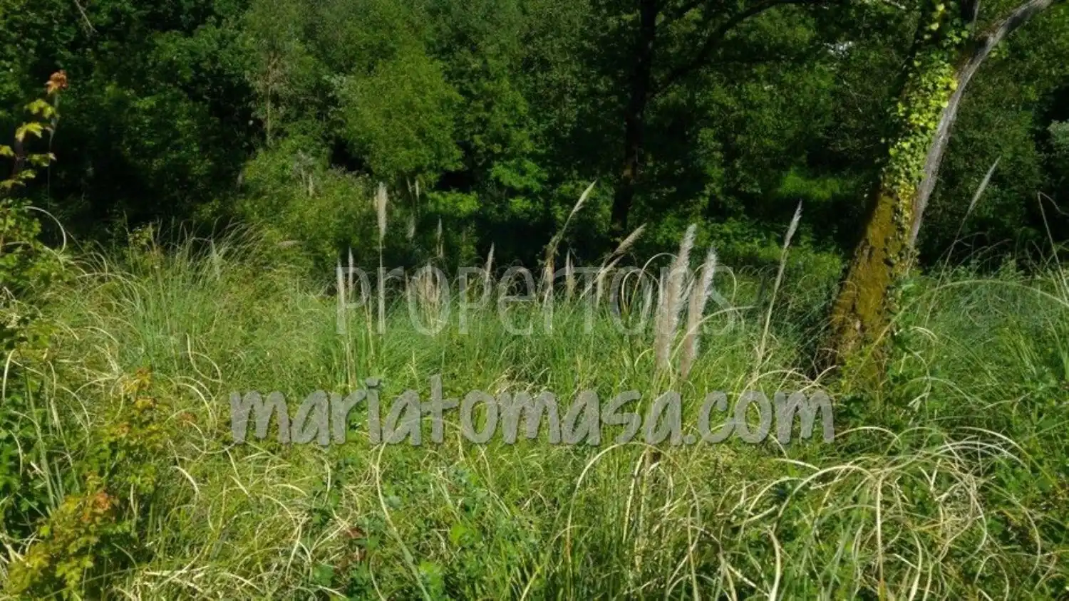 Lands and plots for sale in Mungia, imagen 6