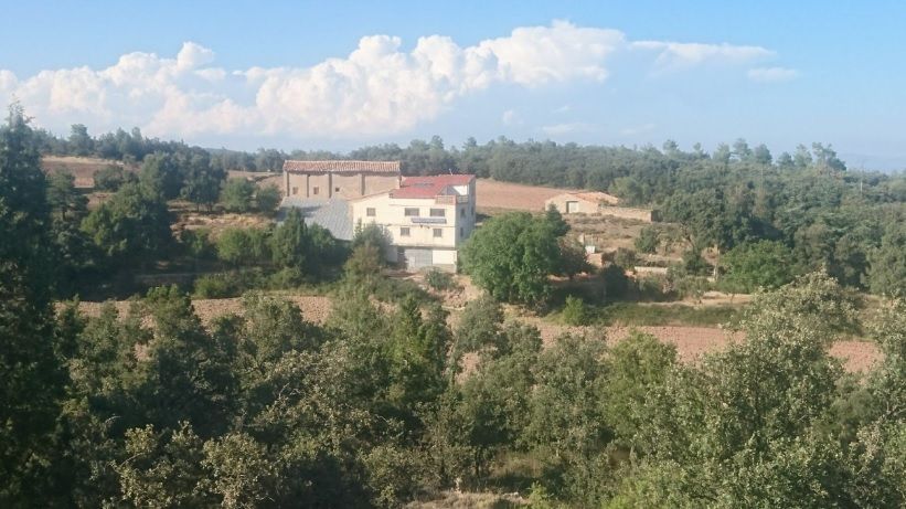 Finca rústica en venda en Castellón de la Plana / Castelló de la Plana