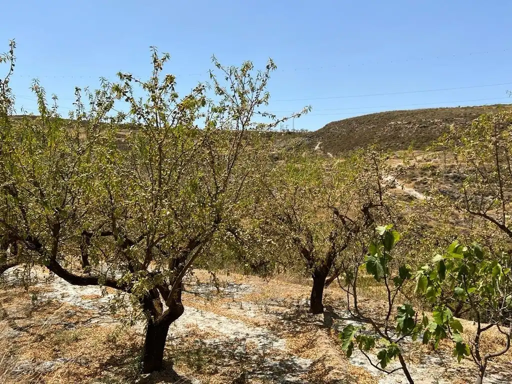 Casa rústica en venda a Villamena, imagen 18
